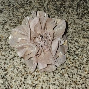 Lot of 4 clips/pins